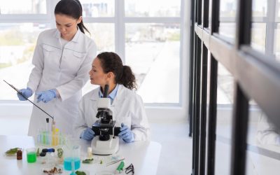 WhatsApp Image 2024-03-27 at 1.29.43 PM