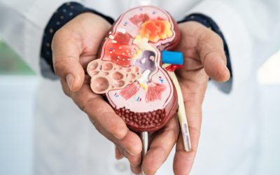 WhatsApp Image 2024-03-27 at 6.30.22 PM