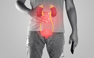 WhatsApp Image 2024-03-27 at 6.57.32 PM